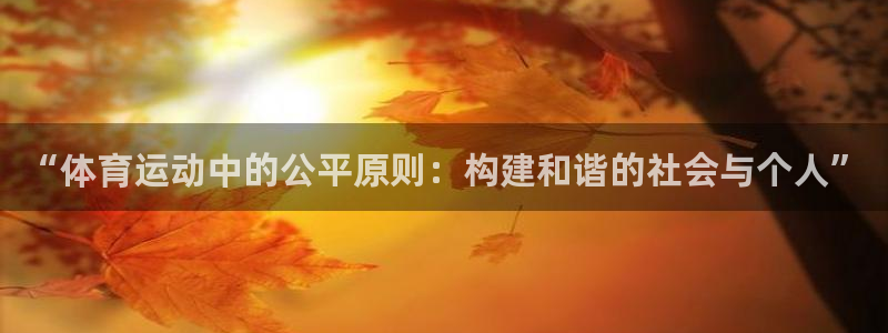 米兰体育入口：“体育运动中的公平原则：构建和谐的社会与个人”