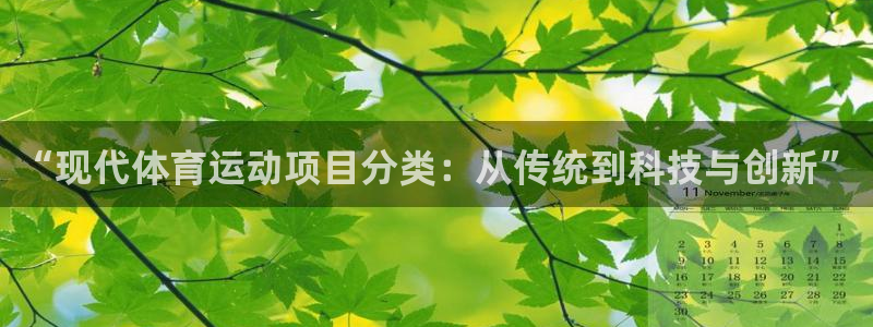 米兰体育登录：“现代体育运动项目分类：从传统到科技与创新”