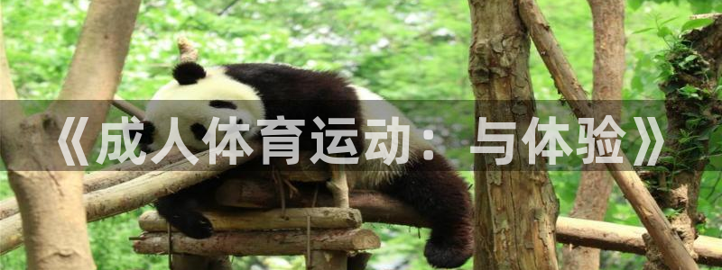 米兰体育入口：《成人体育运动：与体验》