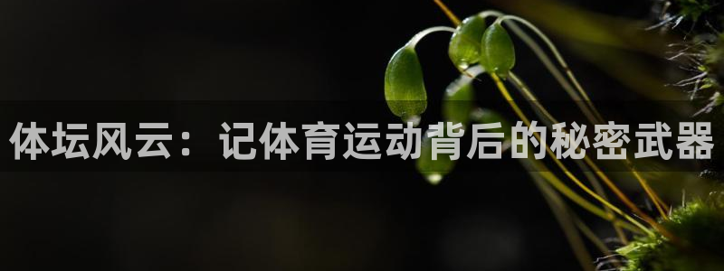 米兰体育平台：体坛风云：记体育运动背后的秘密武器