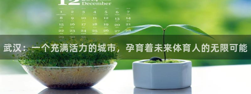 米兰体育登录：武汉：一个充满活力的城市，孕育着未来体育人的无限可能