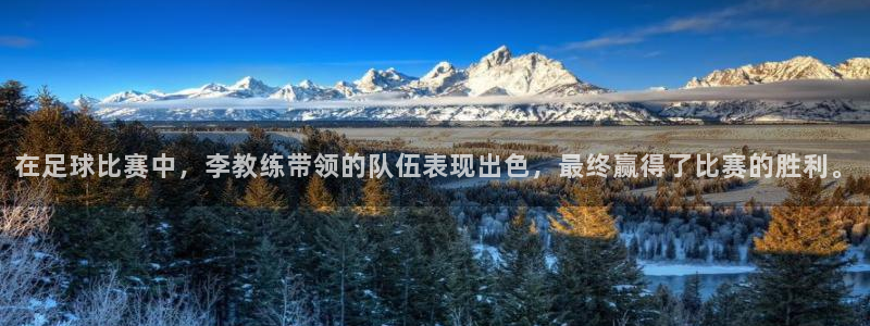 米兰体育在线：在足球比赛中，李教练带领的队伍表现出色，最终赢得了比赛的胜利。